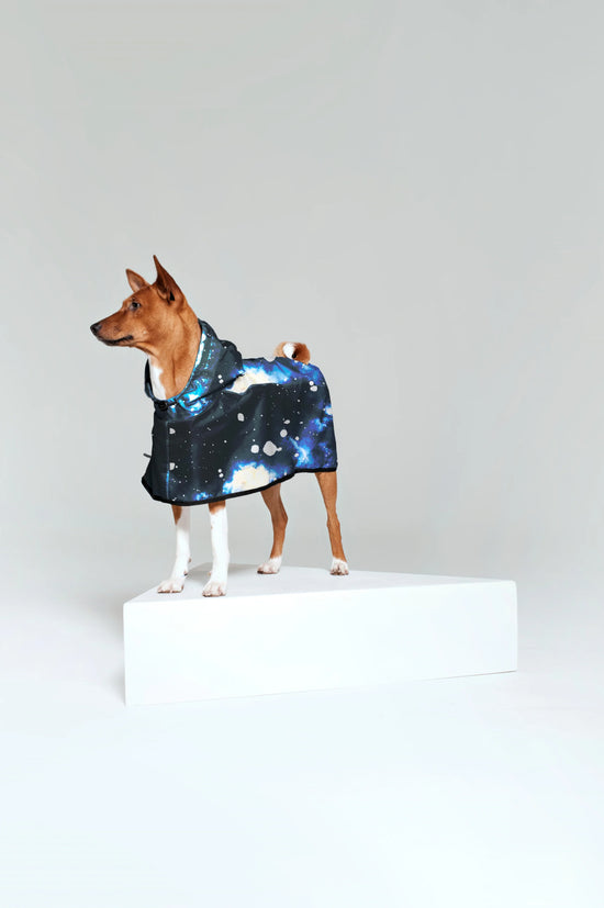 Impermeabile per cane Starry night